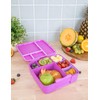 MontiiCo Feast Lunch Box - Fuschia