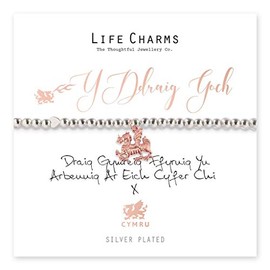 Life Charms Welsh The Red Dragon bracelet