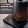 Greater Goods Electric Gooseneck Kettle, 1200W Stainless Steel with Precision