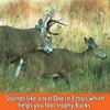 Nationwide Scents Deer Call | Buck Grunt Call for Whitetail