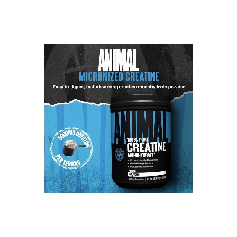 Universal Animal Monohidrato De Creatina 1 Kg Micronizada