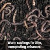 Seedlingers Worm Magic Worm Castings 25 Pound Granular