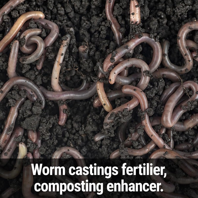 Seedlingers Worm Magic Worm Castings 25 Pound Granular