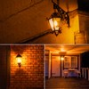 Gonhom Dusk to Dawn Bug Light Bulb Outdoor,2 Pack Amber