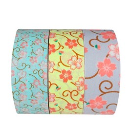 Wrapables A64794C Pink Passion Japanese Washi Masking Tape, Set of 3