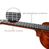 Kadence Concert Ukulele 23" Spring Summer Collection of Ukuleles- Matt