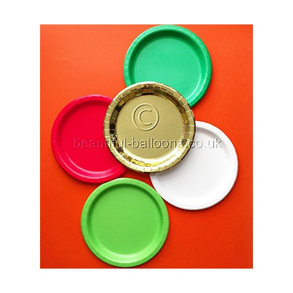 Beautiful Balloons 40 x Christmas Shade 9" Paper Plates