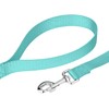 Country Brook Petz 1" Wide Heavy-Duty Nylon Leash for Dogs