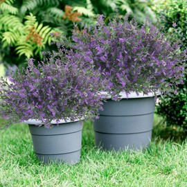 Phliofd 42 Pcs Fake Lavender Flowers Outdoor UV Resistant Faux Plastic Lavender Flowers No Fade Artificial Lavender Purple Plants for Outside Garden Porch Window Box Hanging Planter Decor (Purple)