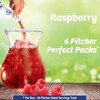 Wyler's Light Pitcher Packs, Water Drink Mix, Raspberry, 6 Boxes