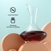 JoyJolt Lancia Wine Decanter Crystal Wine Aerator Handmade Base Glass