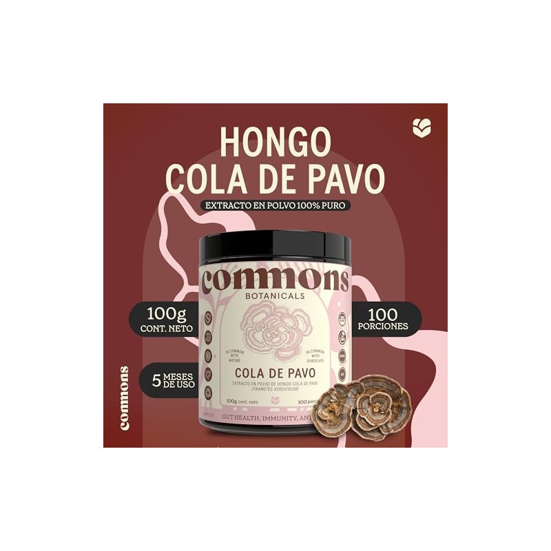 COMMONS Hongos Adaptógenos Hongo Cola de Pavo Extracto en Polvo
