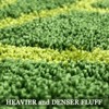 Green Bathroom Runner Rug - Leaf Long Bath Mat Plant