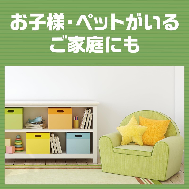 アースジェット [450ml] 2本パック 殺虫スプレー 低刺激/無香料 [ハエ・蚊用 450mlx2本] (アース製薬)