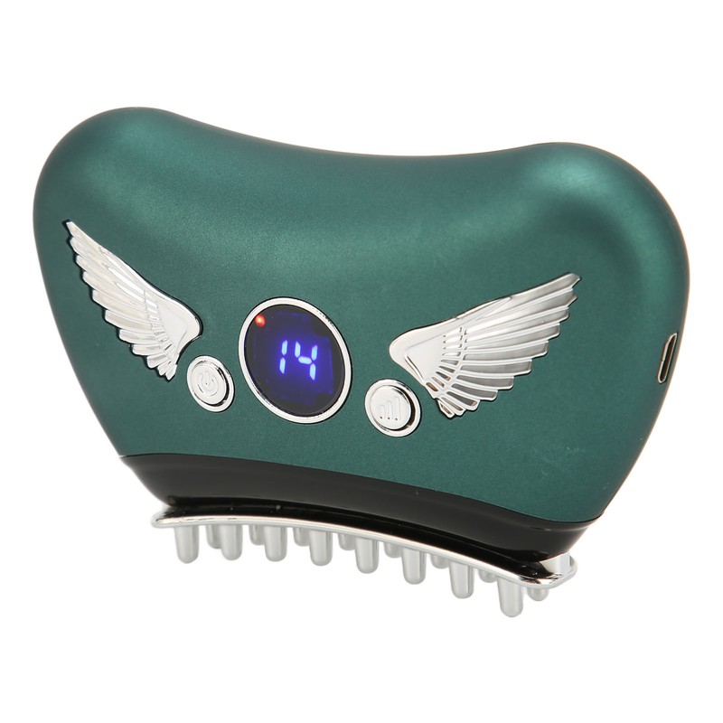 Electric Meridian Brush 16 Levels Hot Compress Microcurrent Rechargeable Sculpting