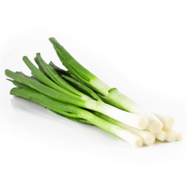 Todd's Seeds Evergreen Bunching Nebuka Onion Heirloom Seed