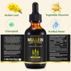 Mullein Leaf Extract for Lungs, 60ml Mullein Leaf Liquid Drops,Natural