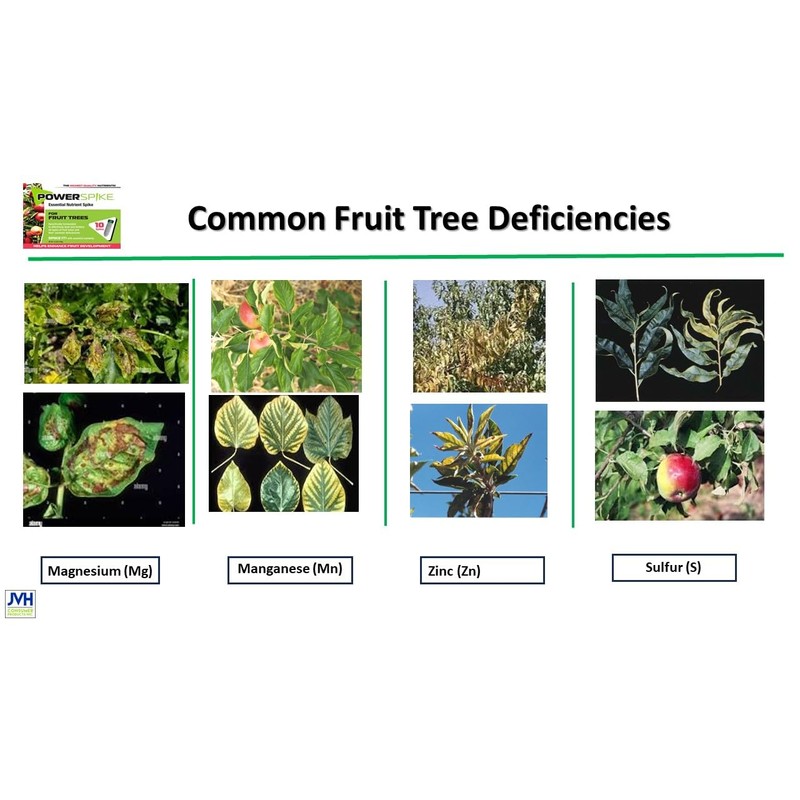 Power Spike for Fruit Trees. Specifically formulated to Effectively Feed