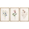 Ashbrook Framed Canvas Print Wall Art Set Pastel Flower Variety