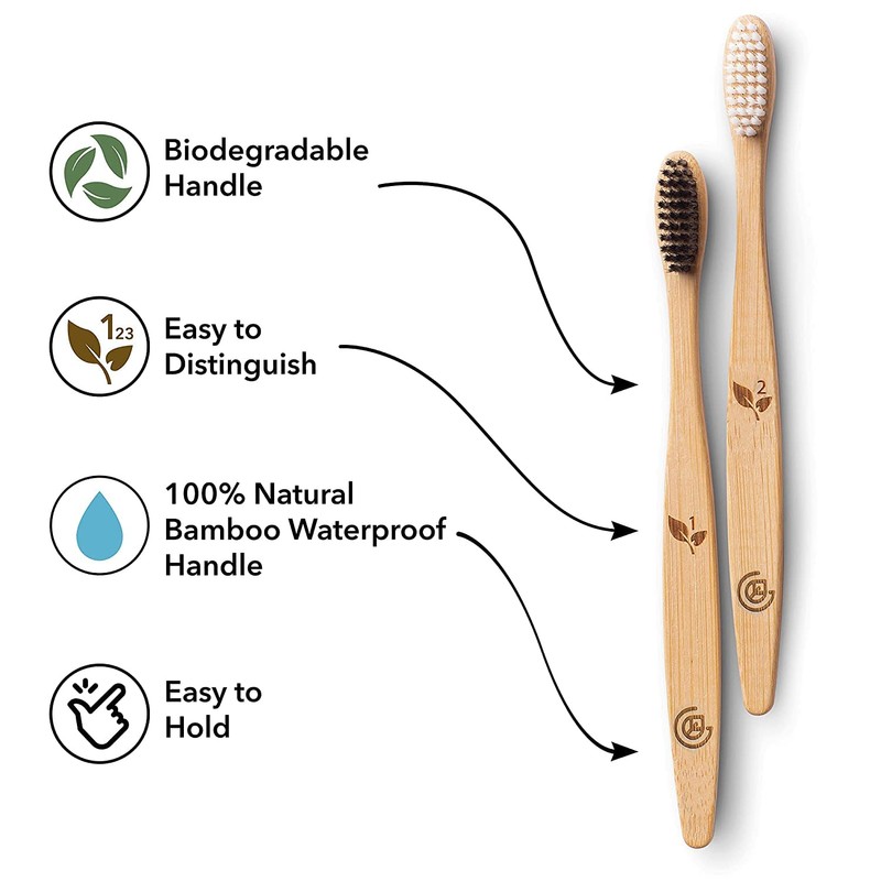 Greenzla Bamboo Toothbrushes for Adults – 12 Pack Wooden Toothbrush