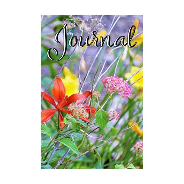 Journal: Blank Line Journal and Daily Diary Featuring Stormy Garden