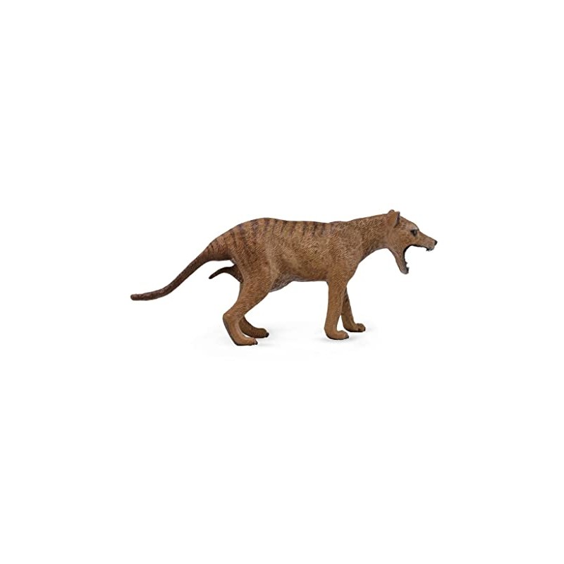 CollectA Thylacine (Tasmanian Tiger) Female