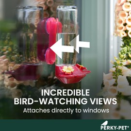Perky-Pet Window-Mounted Glass Hummingbird Feeder - 14 fl oz Nectar Capacity - Entertaining Bird Watching - Glass Window Bird Feeder - 455-2 - Family Birdwatching