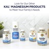 KAL Stress B Mag Glycinate, B Complex Vitamins Plus Magnesium,