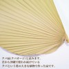 Kubakasaya Fan, Kuba Fan, Traditional Crafts, Folk Art, Okinawa, Ryukyu,