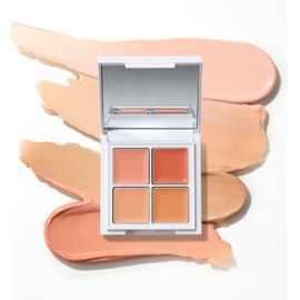 SUIKO Makeup Base Palette 5.6g Soap Remover Stains Dark Bear Acne Wrinkles Dull Scar Concealer Point Foundation (01)