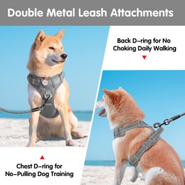 PoyPet No Pull Dog Harness and 5 Feet Leash Set, Release on Neck Reflective Adjustable Pet Vest, Front & Back 2 D-Ring and Soft Padded Pet Harness with Handle for Small to Large Dogs(Grey,M)