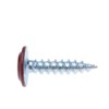 4.2mm x 19mm Wafer Head Self-Tapping Phillips Screws for Sheet