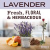 MRS. MEYER'S CLEAN DAY Liquid Laundry Detergent, Cruelty Free, Lavender