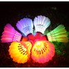 Inngree LED Badminton Birdies, LED Colourful Shuttlecock Dark Night Goose