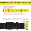 BOB-KRAFT - 1 x 40 mm buckle buckle, plastic click