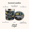 Altar de Corpus Scented Candles – Luxury 14 Oz Soy