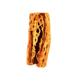 Awesome Industries Natural Cholla Wood Chunk Large Air Plant Display Holders Individually Unique Decorative Stands or Holder (Cholla Chunk Extra Large)