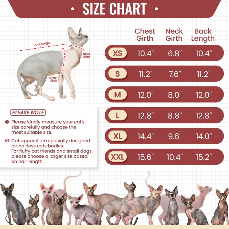 DENTRUN Sphynx Hairless Cats Shirt, Pullover Kitten T-Shirts with Sleeves,