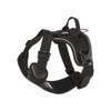 Hurtta Active Dog Harness, Raven, 39-47 in
