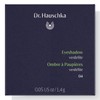 Dr. Hauschka Eyeshadow 1.4g (Various Shades), 07 Aquamarine