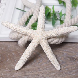 VOANZO 4 Pieces Natural starfish Curtain Tiebacks Hanging Belts Ropes Creative Curtain Holdback Buckles Curtain Accessories Hook Holder Home Supplies