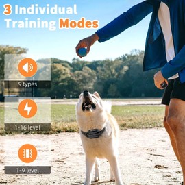 Petworthy PD 519 Dog Shock Collar with Remote 3300ft Dog Training Collar IPX7