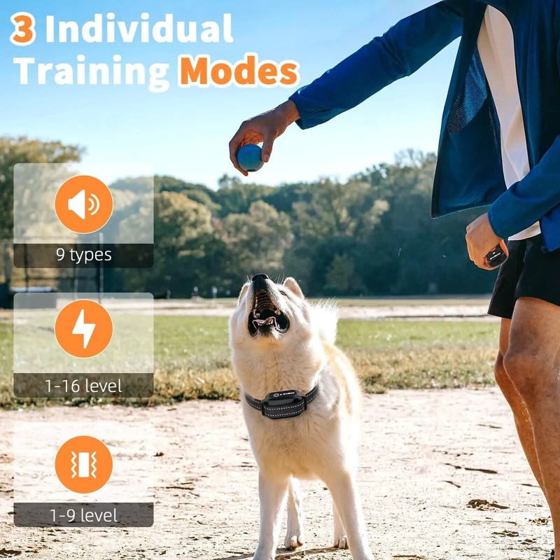 Petworthy PD 519 Dog Shock Collar with Remote 3300ft Dog