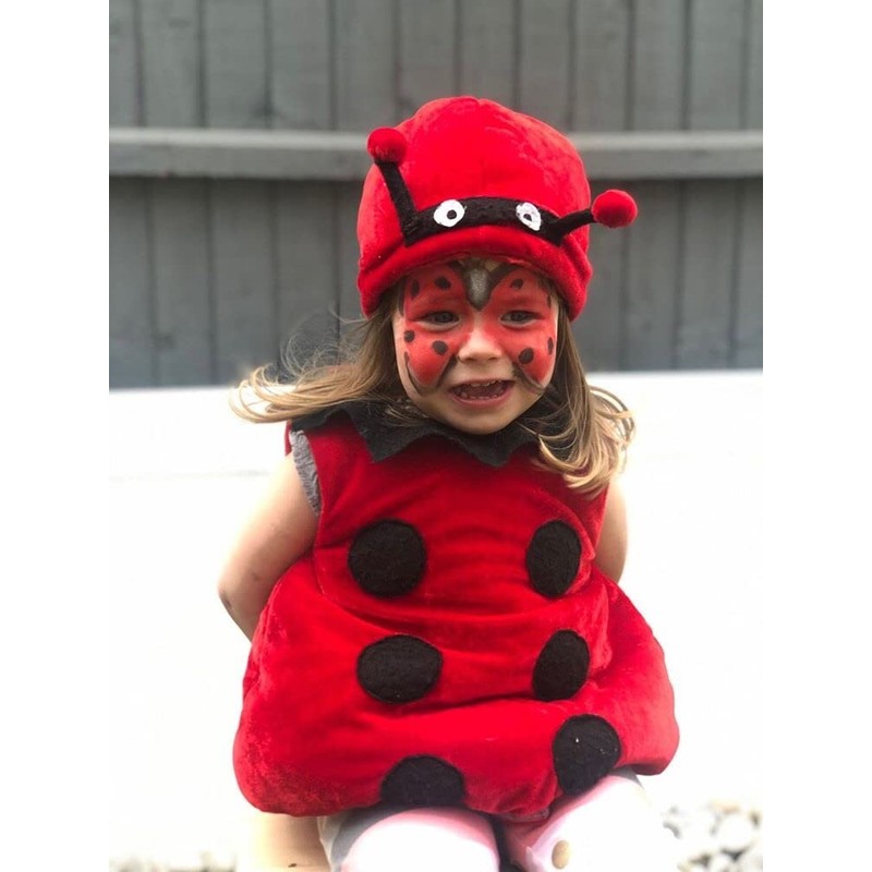 Little Brian LBFPS06CA6 Face Paint Sticks 6 Pack, Multi