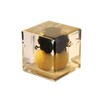 Real Dung Beetle Cube Desk Decoration