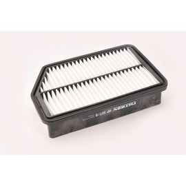 Filtron Air filter, ap107/8