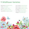 Partial Shade Wildflower Seed Mix, Covers 325 Sq Ft, 11