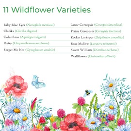 Partial Shade Wildflower Seed Mix, Covers 325 Sq Ft, 11 Flower Varieties, Over 37,000 Seeds, Created By Nature