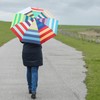 Remember Umbrella Allegra - Colourful Pocket Umbrella Provides a Good