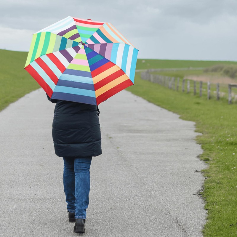 Remember Umbrella Allegra - Colourful Pocket Umbrella Provides a Good